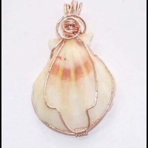 New Natural Scallop SeaShell Pendant Handwrapped 2" White & Shades of Orange